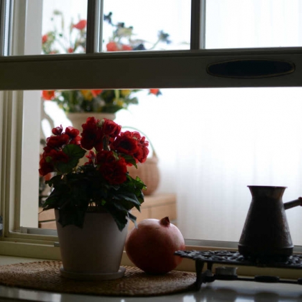 Close-up of a garden window framed by red begonias and a vase of flowers beyond