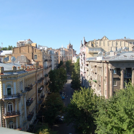 Aerial view of the historic tree-lined street and surrounding rooftops