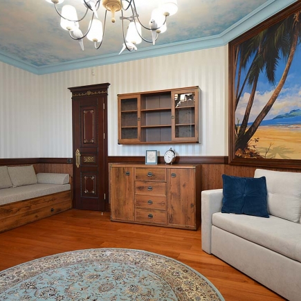 Child's room with a dark wood cabinet, painted beach mural, and round rug