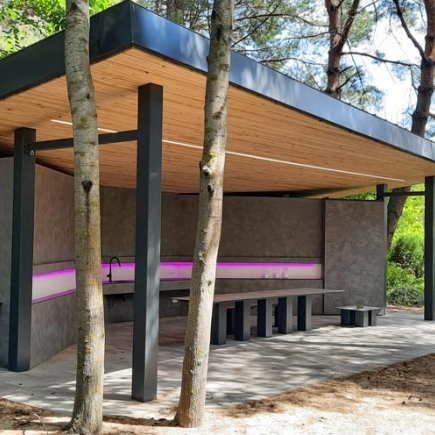 Exterior view of the pavilion's cantilevered wood-slat roof growing around two pine tree trunks