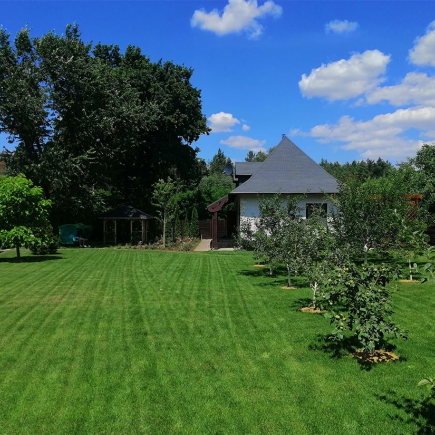 Cottage framed by mature trees with newly planted saplings on the sunlit lawn