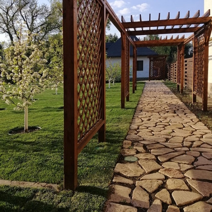 Flowering sapling beside the pergola lattice and stone path in spring