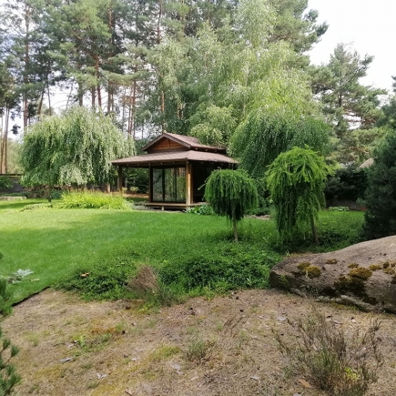 Glass-walled pavilion framed by weeping willows and feathery evergreens