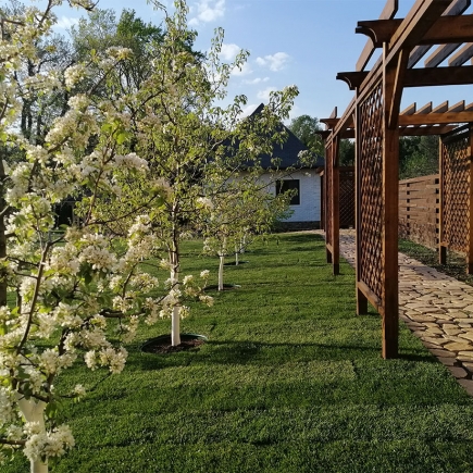 Row of blossoming ornamental trees along the pergola-lined lawn in spring