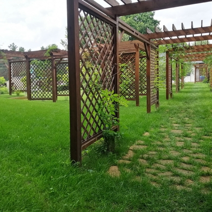 View through the open-lattice pergola tunnel with dappled sunlight on the stone path