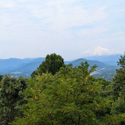 Layered Blue Ridge Mountain view from the property beyond the treeline